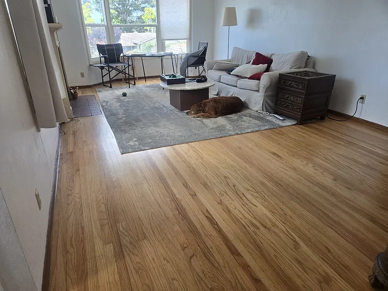 7401 Errol Dr — Photo 7