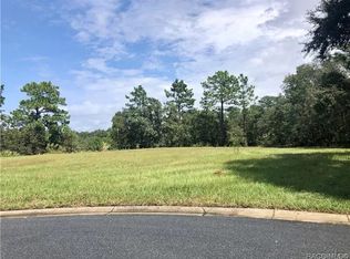 3581 N Spyglass Village Path, Lecanto, FL 34461