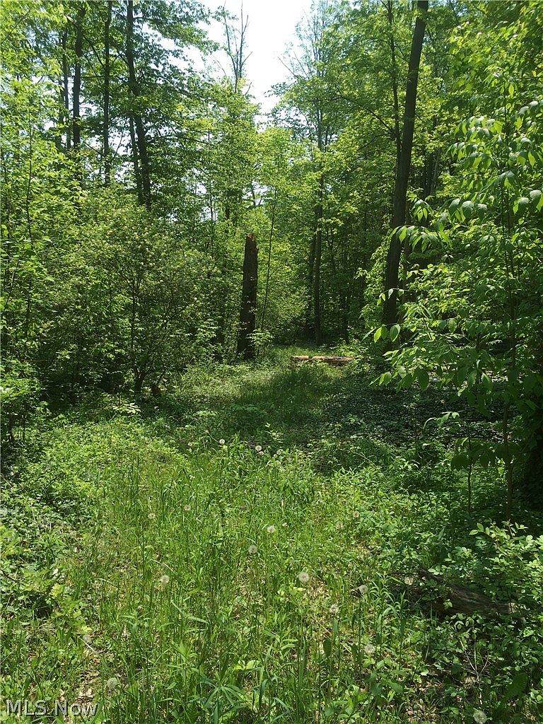 0 Fowlers Mill Rd