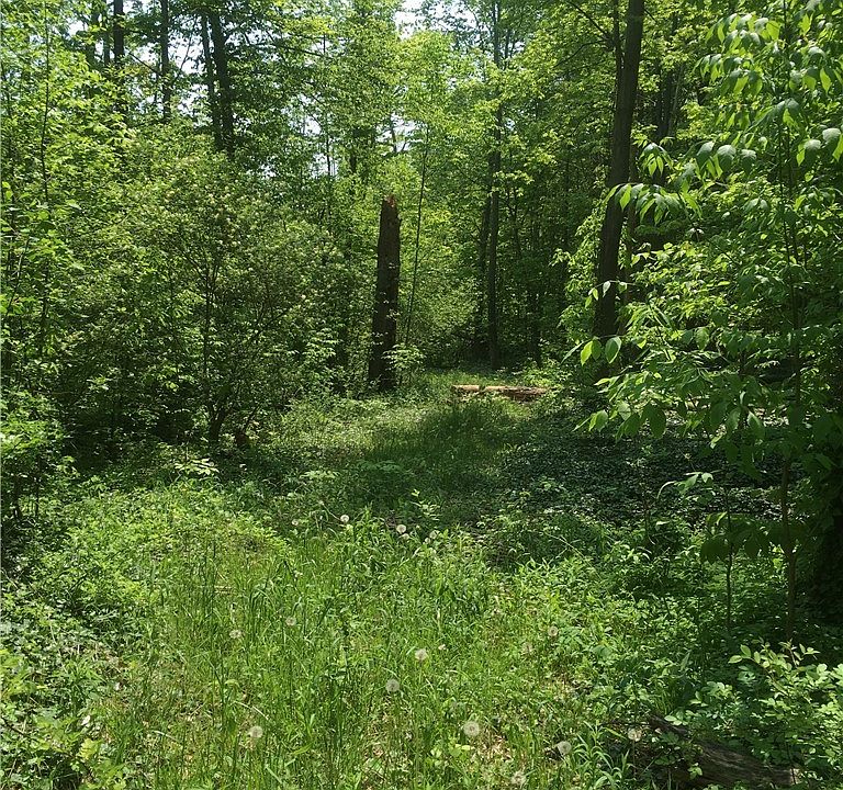 1st image of 0 Fowlers Mill Rd