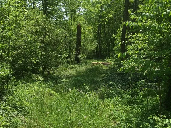 0 Fowlers Mill Rd, Chardon, OH 44024