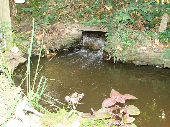 water feature