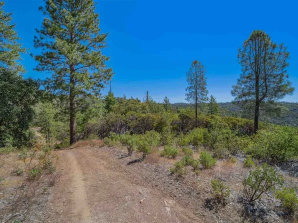 0 Ponderosa Way, Big Oak Flat, CA 95305