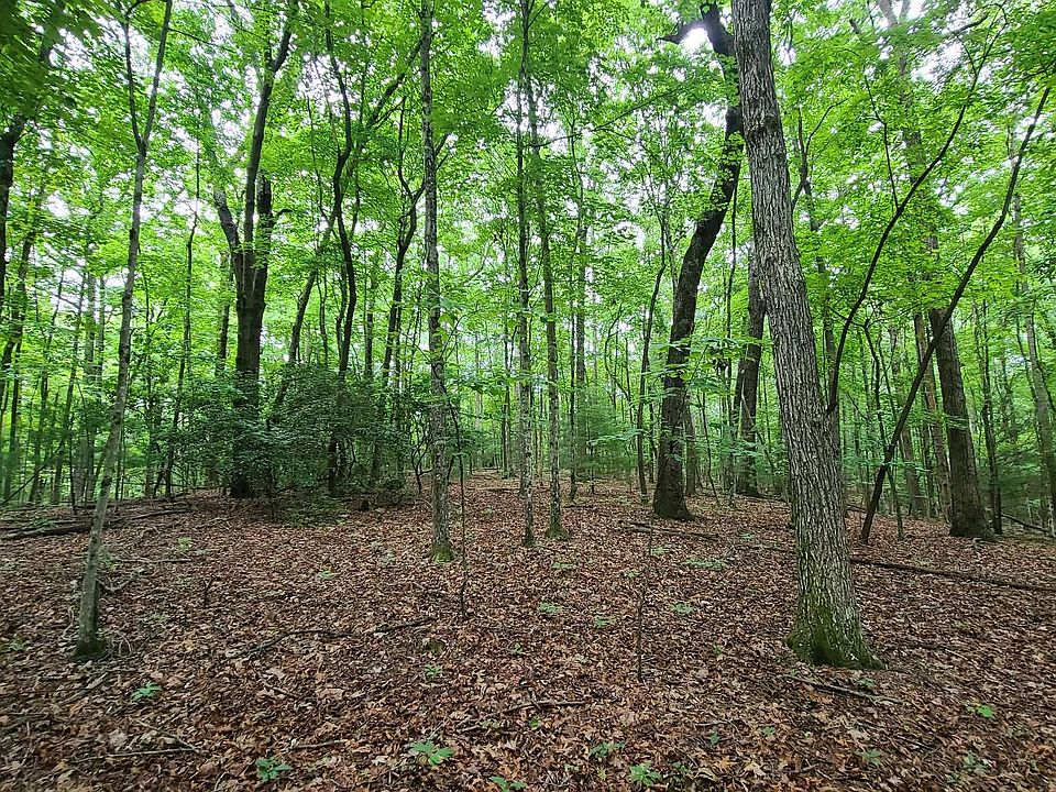 2nd image of Shade Tree Ln