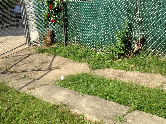 yard
