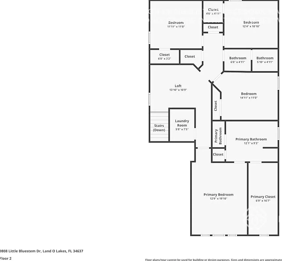 9808 Little Bluestem Dr Land O Lakes, FL 34637 — Photo 3