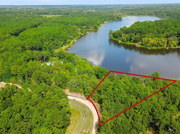 0 Pine Island Cv Lot 17, Grapeland, TX 75844