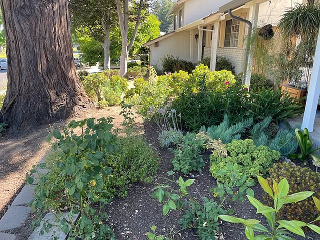 1240 Oak Knoll Dr — Photo 13
