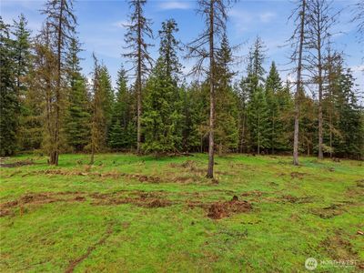 0 NKA W Oregon Road, Clayton, WA, 99110