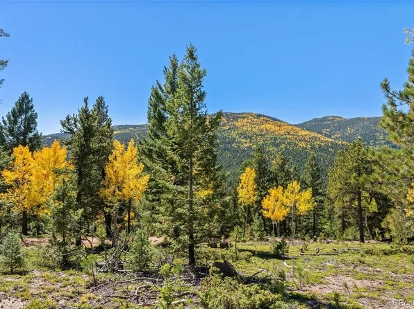 30854 Forest Shadow Trail LOT 9, Conifer, CO 80433