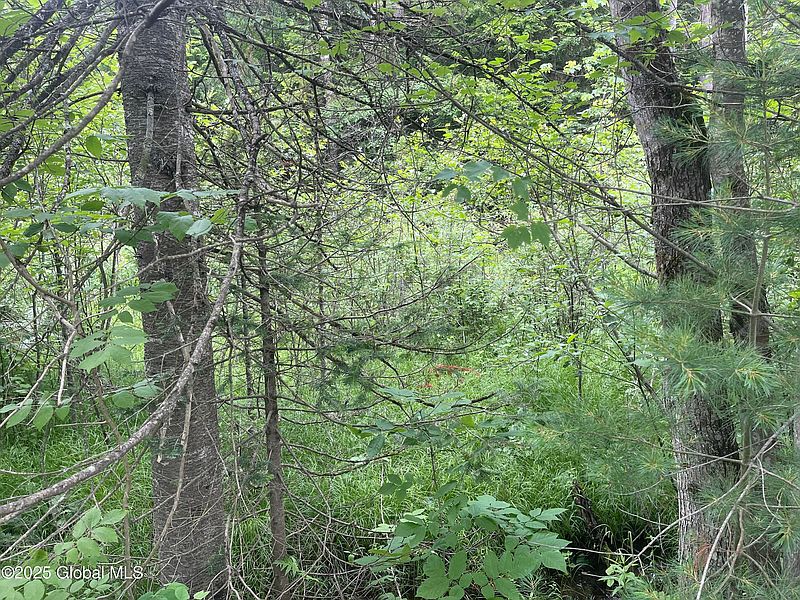 3rd image of L30 Lane Road