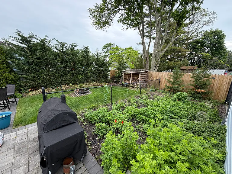Bernice Dr — Photo 16