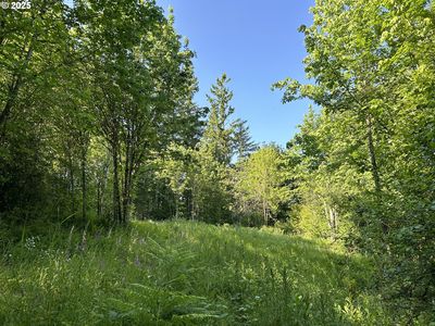 NE Fargher Dr, Yacolt, WA, 98675