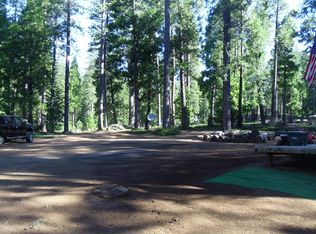 27450 State Highway 88, Pioneer, CA 95666