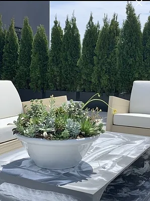 Rented by Abode Residential LLC | media 30