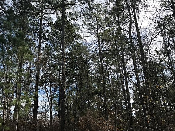 5th image of 4772 Rollins Rd