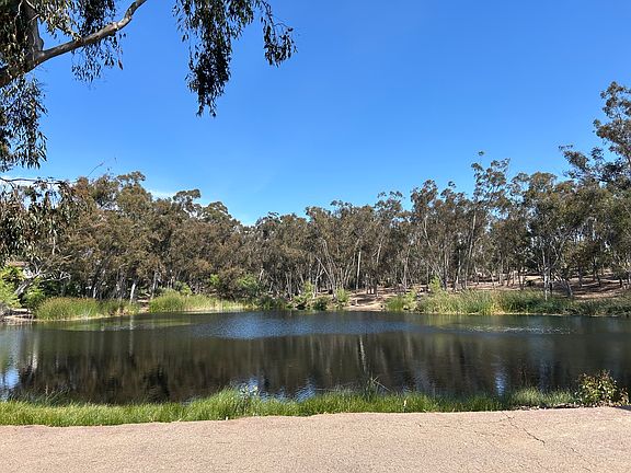 Pond views never get old