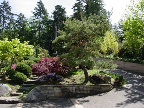 Japanese Garden