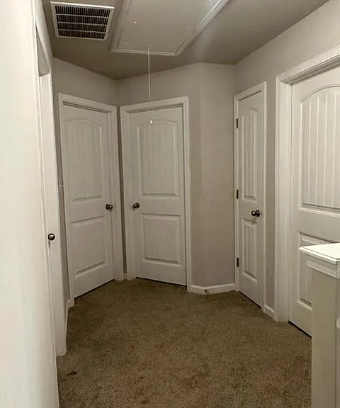 156 Amelia Dr — Photo 23
