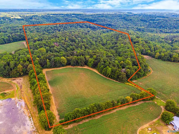 Happy Hollow Rd, Elkmont, AL 35620