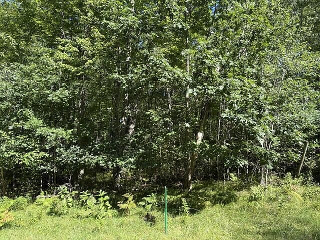 2nd image of Lot 19 HYDRO COURT