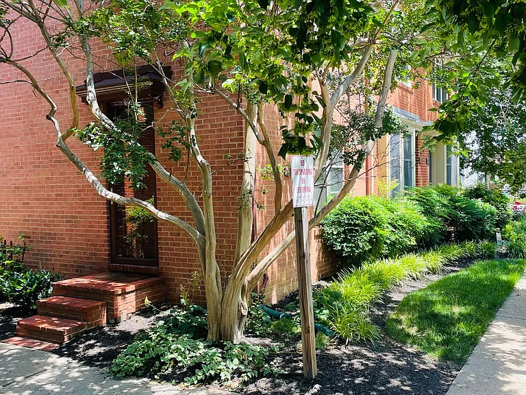 1405 Oronoco St — Photo 9