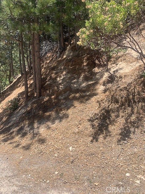 2nd image of 27346 N Bay Rd