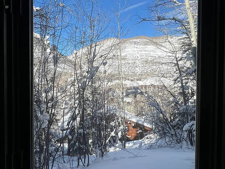 1779 Sierra Trl #1 — Photo 8