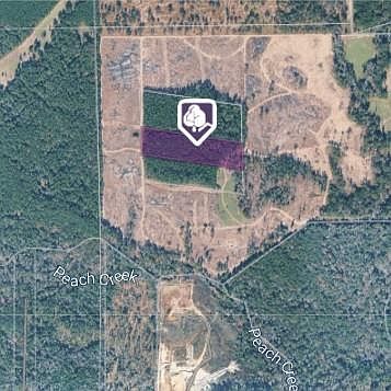 1st image of Morgan Cemetary Rd