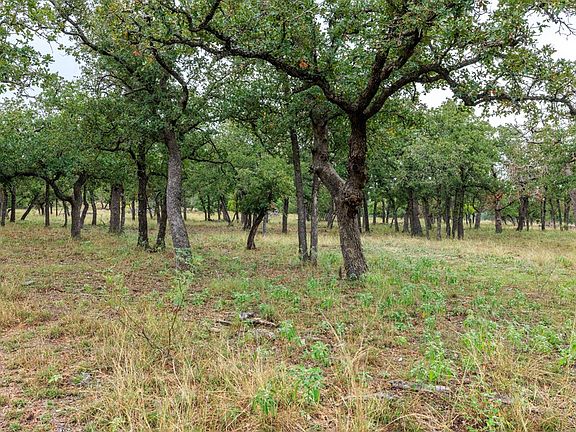 3rd image of LOT 7 Mystic Oaks Trl