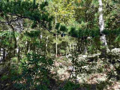 5141 Trevino Dr #3, McGaheysville, VA, 22840