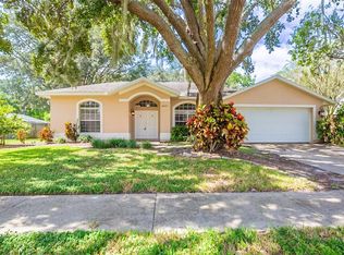 8443 Ridgebrook Cir, Odessa, FL 33556