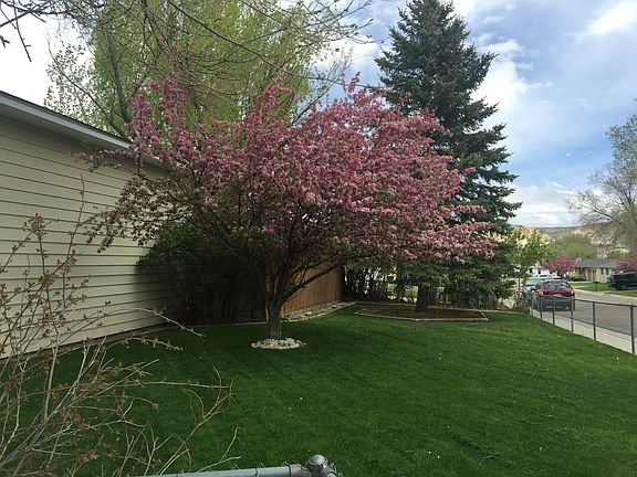 Side yard