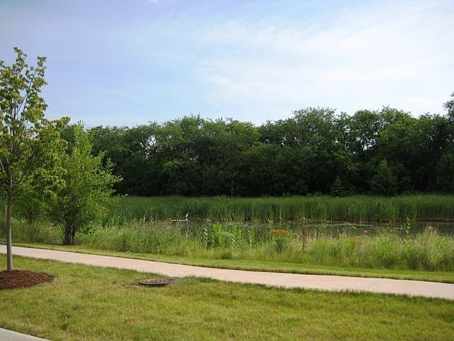 Nature area