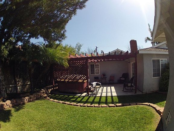 Back yard.jpg