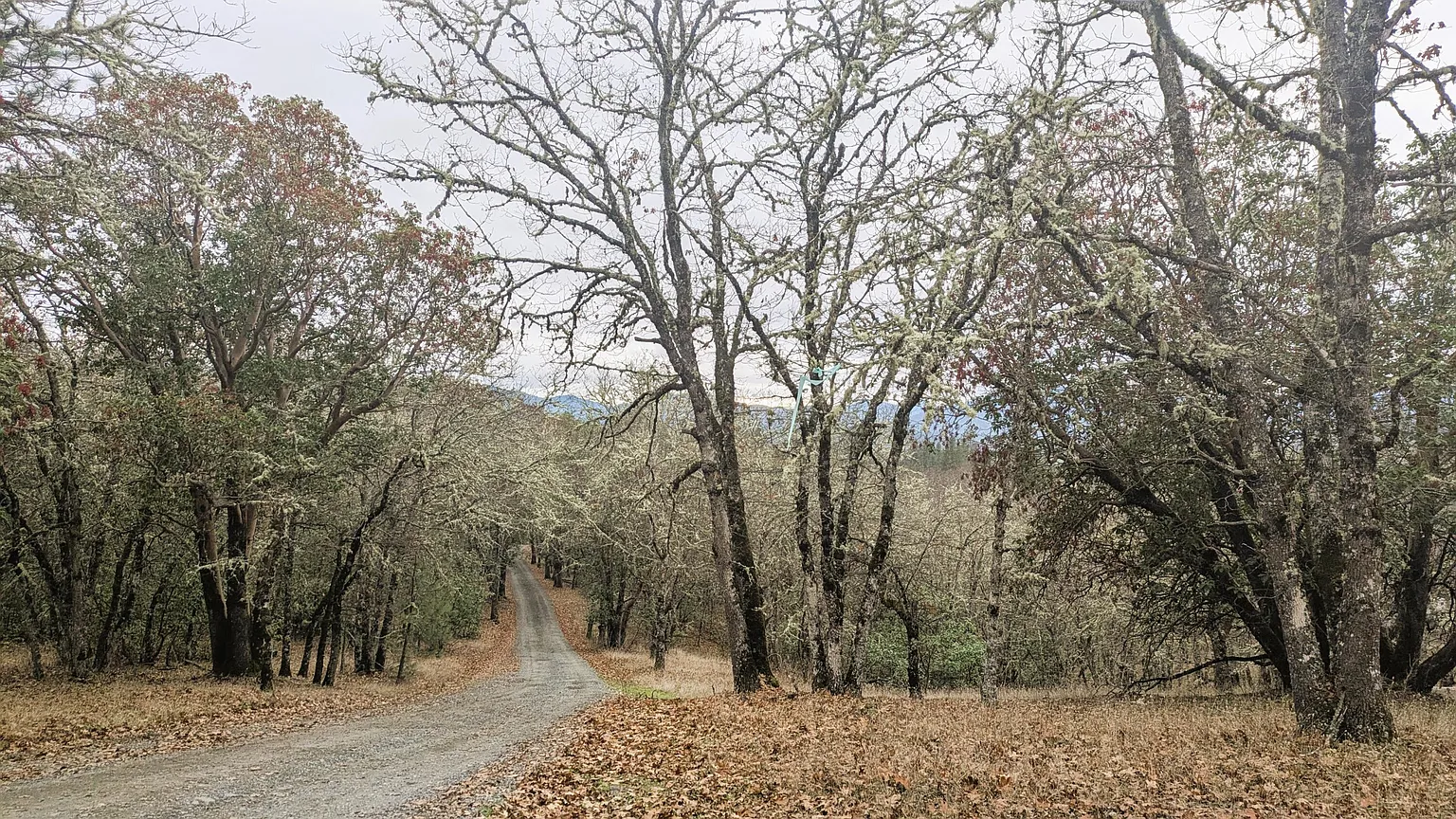 0 Azalea Drive Cutoff #1100-609 photo 1