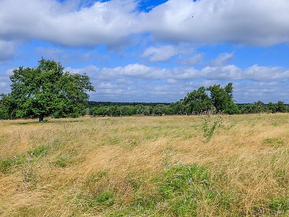 3rd image of 436 Stevens Ranch Rd