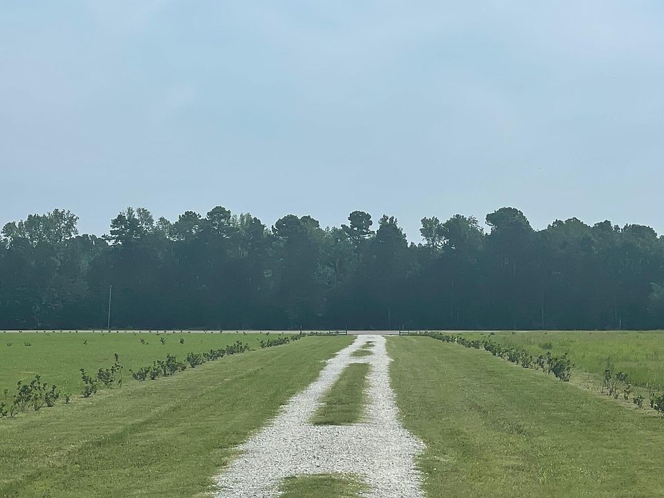 508 High Plains Ct, Ridgeville, SC 29472 MLS 23019098 Zillow
