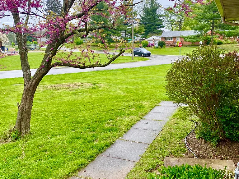 9313 Michael Edward Dr — Photo 6