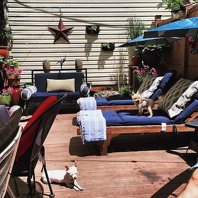 Rented by Maz Group NY | media 20