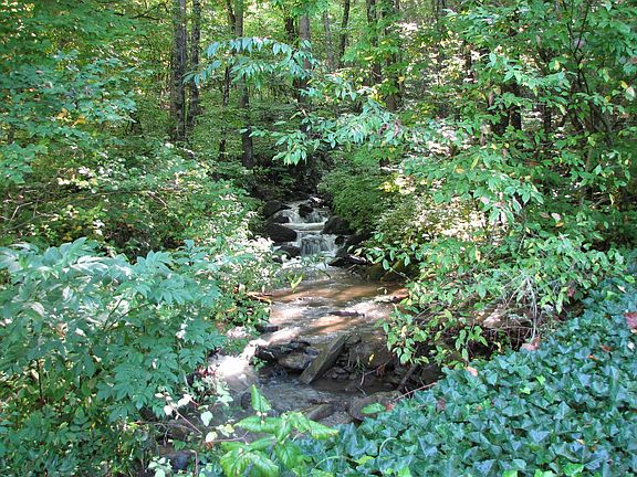 Creek & Waterfalls
