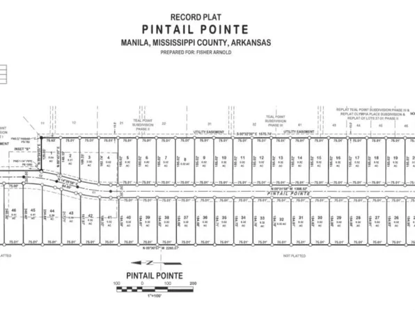 LOT 38 Pintail Point, Manila, AR 72442