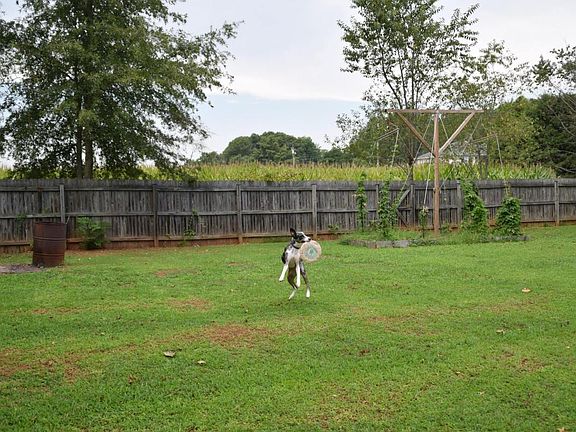 Wide Open Backyard Perfect For Kids/Pets