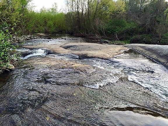 Creek & swimming hole