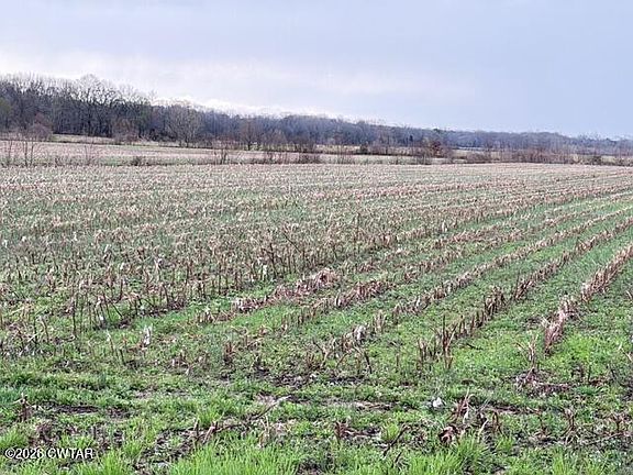 3rd image of 0 Strayleaf Rd