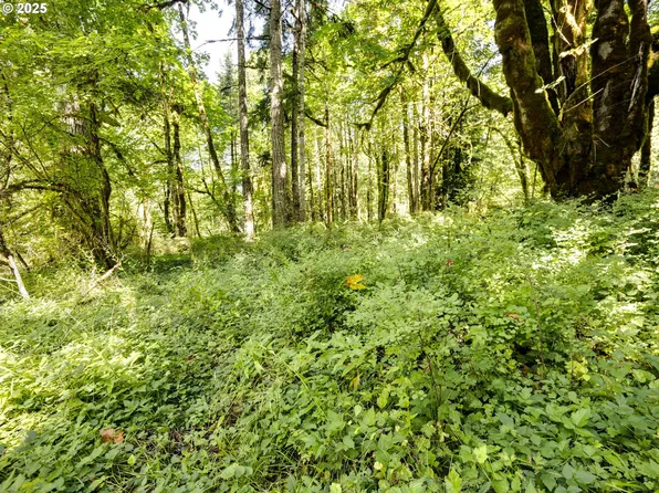 28003 E Lost Ln, Welches, OR 97067