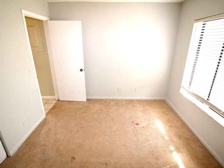 6287 Scotch Pine Ln — Photo 19