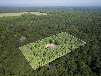 236 Forest Ln, Crawfordville, FL, 32327