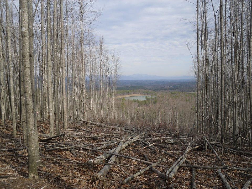 2nd image of 419 Grandview Peaks Dr