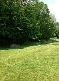 3rd image of 302 Thistle Dr